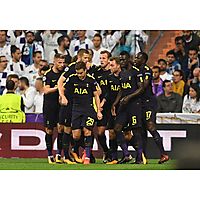 Tottenham Hotspur image