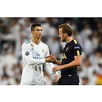 Tottenham Hotspur image