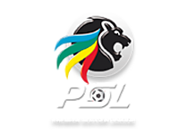 psl_logo.png - SA Premier Soccer League image